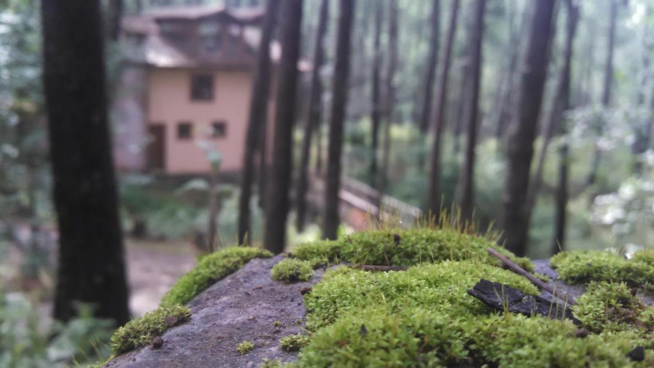 Cabana Rustica A 1Km De Cascada Mazamitla Bagian luar foto