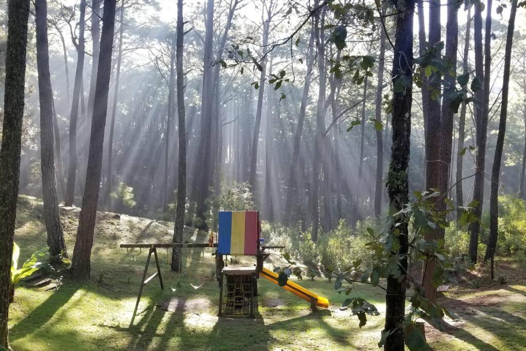 Cabana Rustica A 1Km De Cascada Mazamitla Bagian luar foto